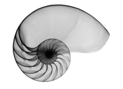 D6D46577-F946-4EB7-BA9F-9DFEF4E5479C