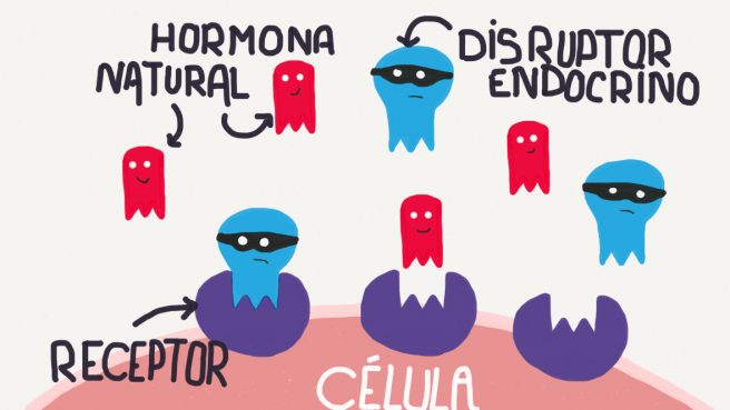disruptores-endocrinos-1180x664