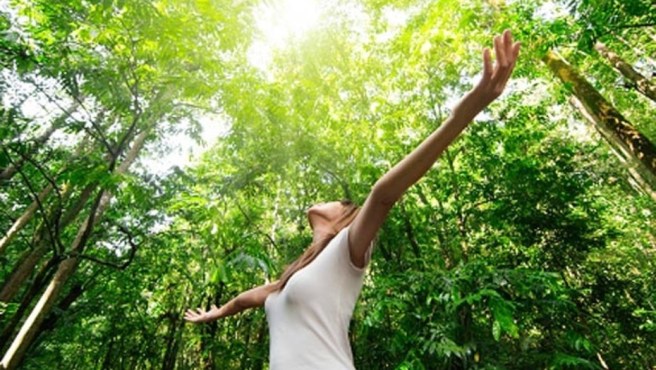 shinrin-yoku